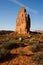 The Organ. Arches National Park