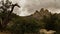 The Organ Mountains in New Mexico.