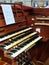 Organ musical instrument