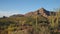 Organ pipe cactus and ajo mnts in arizona