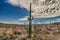 Organ Pipe National Monument with Opuntias and Saguaros, Arizona USA