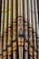 Organ pipes