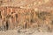 The Organ Pipes, Damaraland, Namibia.