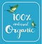 Organic 100% natural card. Poster, logos vector.