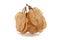 Organic Air Dried Chilbil or Indian Elm winged seed in bunch. Top view isolated over white background .