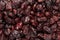 Organic air dried Cranberries Vaccinium oxycoccos.