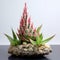 Organic Aloe Cactus Flower Pot Arrangement With Sophisticated Woodblock And Natural Lighting