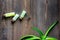 Organic aloe vera cosmetics. Aloe vera leafs and spa salt on wooden table background top view copyspace