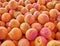 Organic apricots top view, natural background