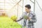 Organic asian man gardeners checking the roots of green salad vegetables with tablet in greenhouse hydroponic nursery farm,Small