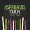 Organic asparagus farm hand drawn