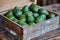 Organic avocado in a wooden box