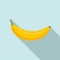 Organic banana icon, flat style