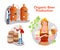 Organic beer craft production set, cartoon brewery collection with brewer people