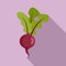 Organic beet icon, flat style