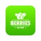 Organic berries icon green vector