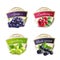 Organic Berries Labels Collection