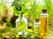 Organic bio alternative medicine, Herbal medicine., bottles of healthy essential oil or infusion and dry medicinal herbs