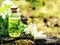 Organic bio alternative medicine, Herbal medicine., bottles of healthy essential oil or infusion and dry medicinal herbs