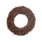 Organic Black Quinoa seed Chenopodium quinoa in Ring Shape. Letter O for Omega-3.