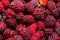 Organic Blackberry berry closeup view background