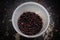 Organic blackcurrant berries in a plastic bucket