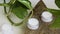 Organic body/face creams, wellness beauty products