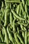 Organic Broad Beans