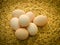 Organic Brown Chicken Eggs on  woven mat