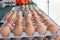 Organic brown eggs in crates in display at a farmer`s produce booth at a Farmer`s Market.