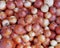Organic brown onions top view, food background
