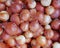 Organic brown onions top view, food background