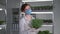 organic business, female farmer in medical mask and gloves with ripe micro green in container, smiling and looking at