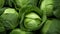 organic cabbage, fresh ecological farming produce