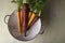 Organic Carrots in Colander