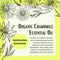 Organic chamomile essential oil, promo banner