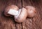 Organic chestnut mushrooms on wooden background