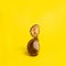 Organic chestnut in own shells with part of shell on the top of it balancing. Vibrant yellow color background