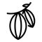 Organic cocoa beans icon, outline style