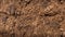 Organic Contours: A Paleocore Carpetpunk Shredded Mulch Background