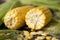Organic corn natural healthy food