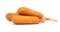 Organic CornDog on white background