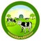 Organic dairy products illustration with cows -  illustration