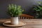 Organic decor indoor plant adds freshness to wooden table setting