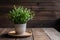 Organic decor indoor plant adds freshness to wooden table setting
