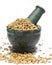 Organic Dried coriander seeds (Coriandrum sativum) on marble pestle.