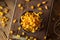 Organic Dried Golden Raisins