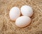 Organic duck eggs