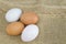 Organic Duck eggs vs Chicken eggs