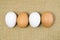 Organic Duck eggs vs Chicken eggs